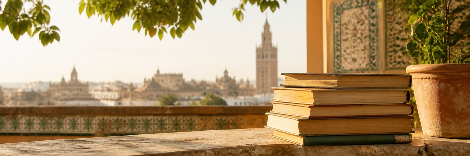 Libros preparados para donar con una vista urbana de Sevilla al fondo
